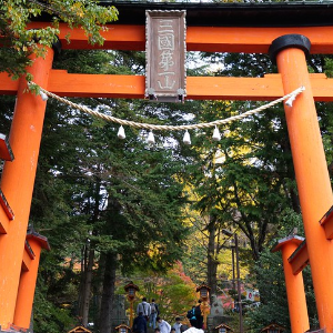 Giant Tori gates in Japa...